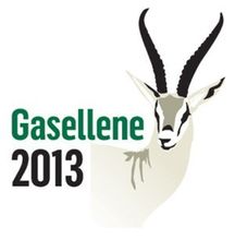  Gasellebedrift 2013
